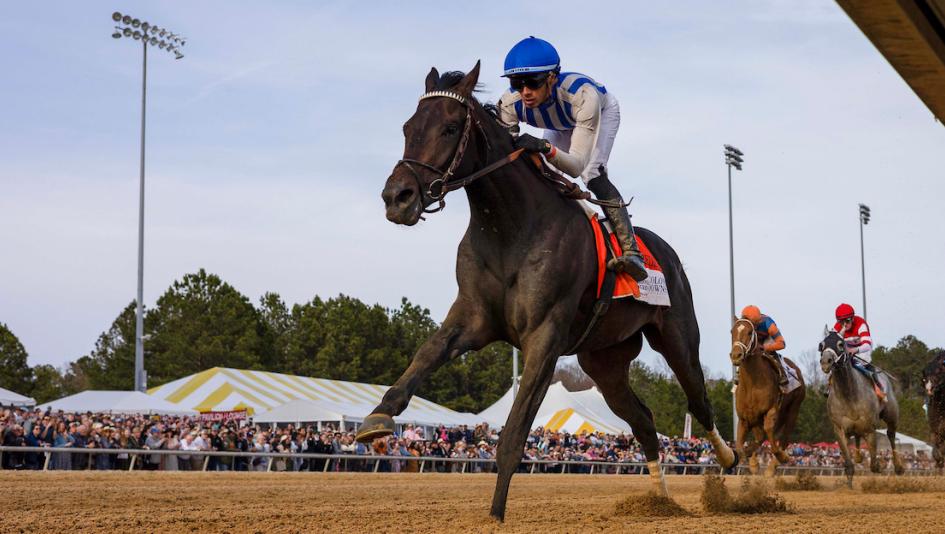 Paladin Leads Triple Crown Power Rankings as Incredibolt Enters Top 10